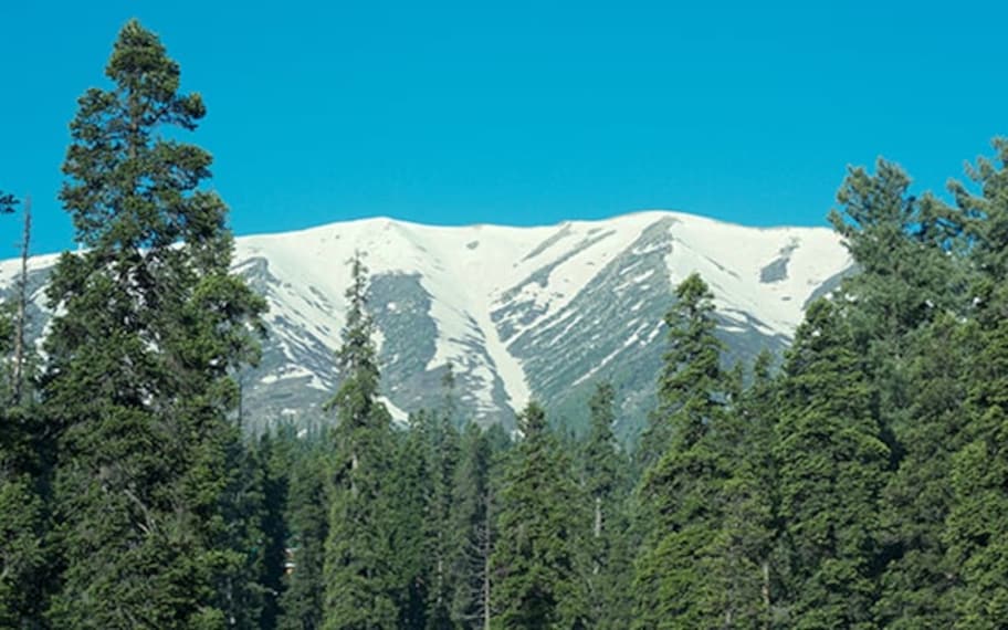 Gulmarg Gulmarg Biosphere Reserve Landscape Image