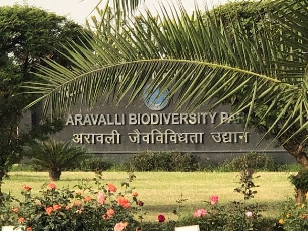 Aravalli_biodiversity_park_1