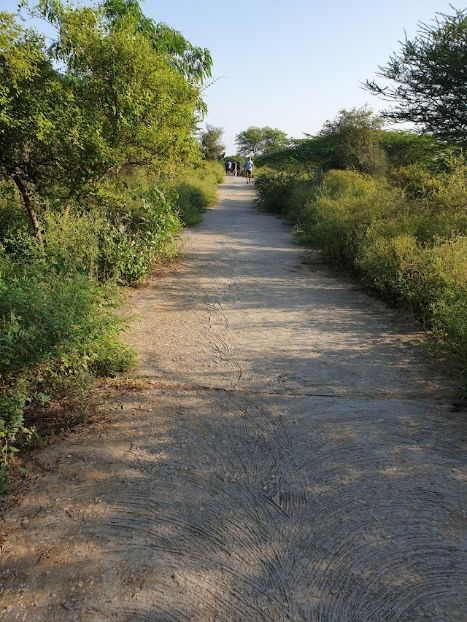 Aravalli_biodiversity_park_3
