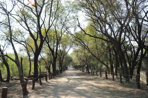 Sultanpur_bird_sanctuary_2