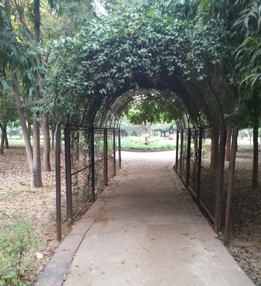 Tau_devi_lal_biodiversity_park_2