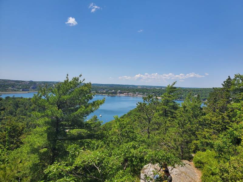 Halifax_Admiral_Cove_Park_2
