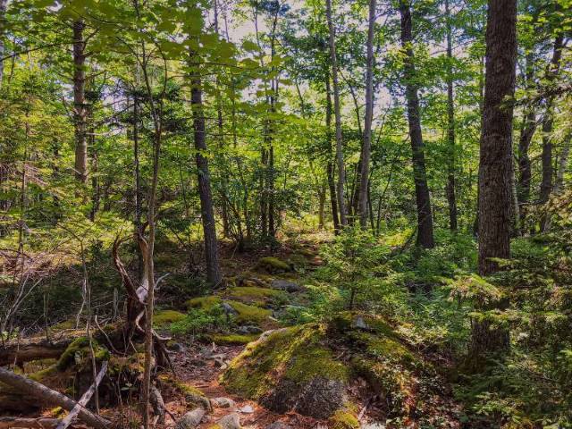 Halifax_Admiral_Cove_Park_4