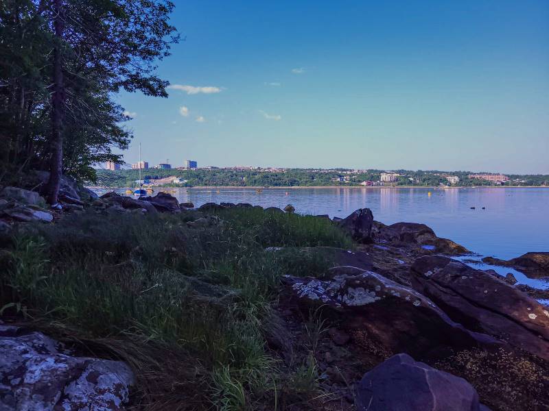 Halifax_Admiral_Cove_Park_7