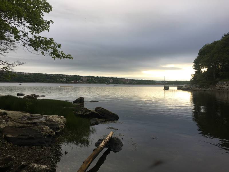 Halifax_Admiral_Cove_Park_9