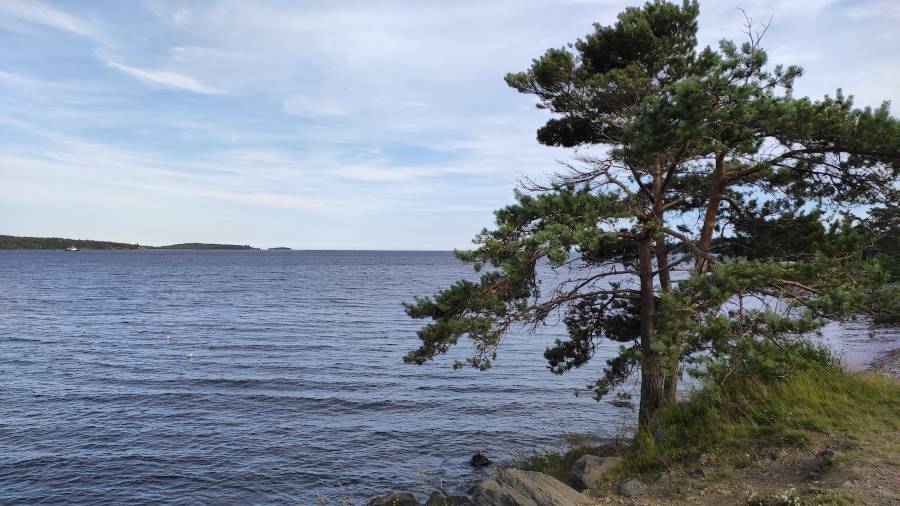 Halifax_Black_Rock_Beach_4
