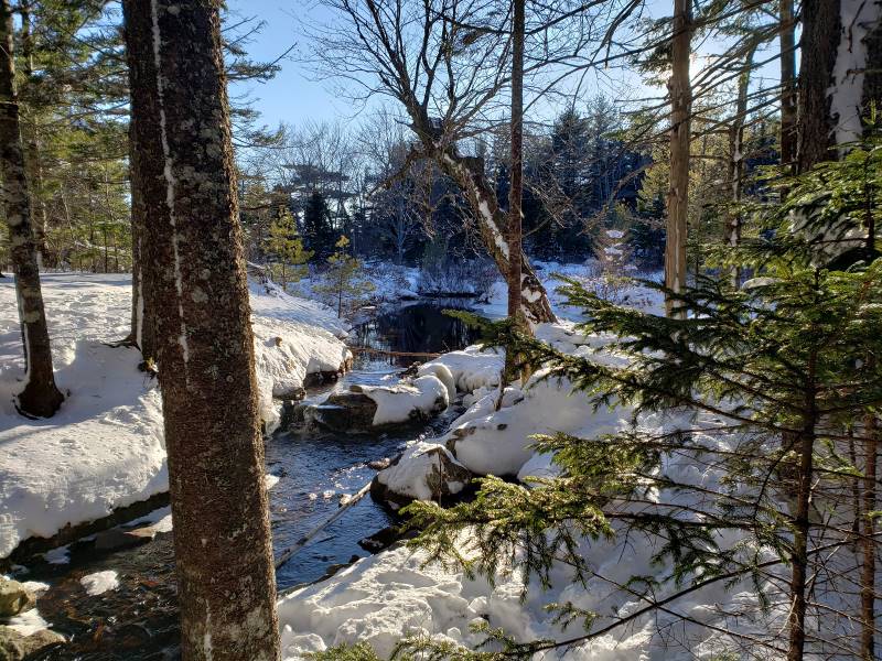 Halifax_Blue_Mountain_Birch_Cove_Lakes_Wilderness_Area_10