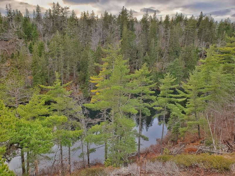 Halifax_Blue_Mountain_Birch_Cove_Lakes_Wilderness_Area_7