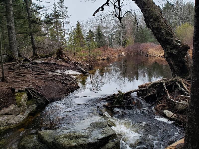 Halifax_Blue_Mountain_Birch_Cove_Lakes_Wilderness_Area_9