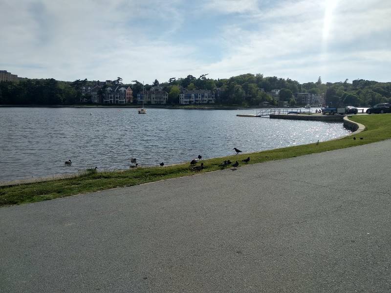 Halifax_Horseshoe_Island_Park_8