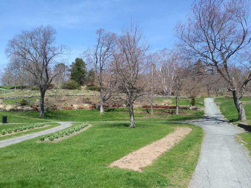 Halifax_Leighton_Dillman_Park_8