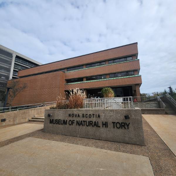 Halifax_Museum_of_Natural_History_3
