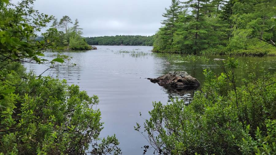 Halifax_Shaw_Wilderness_Park_1