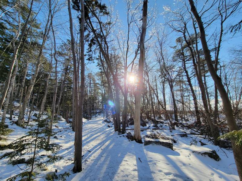 Halifax_Shaw_Wilderness_Park_2
