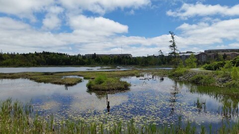 Belchers Marsh Park