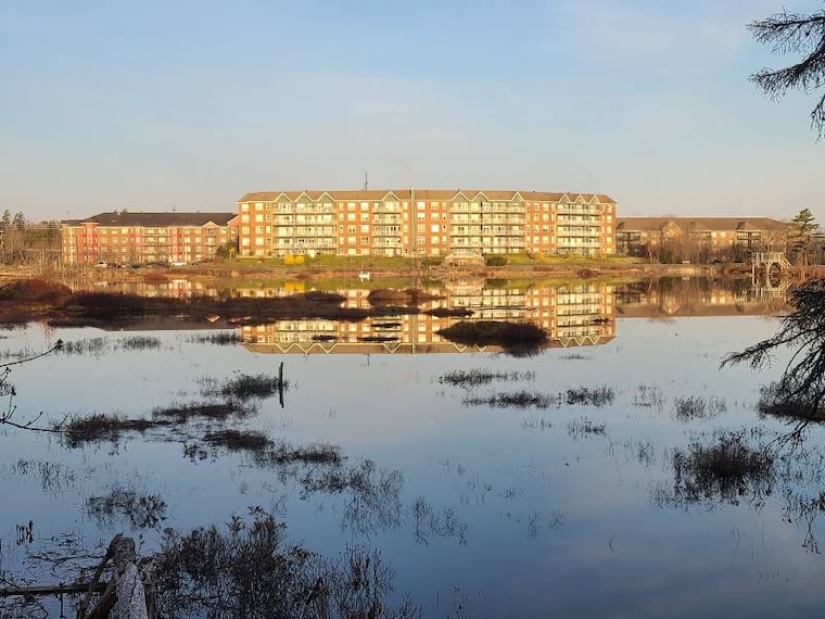 Halifax_Belchers_Marsh_Park_6