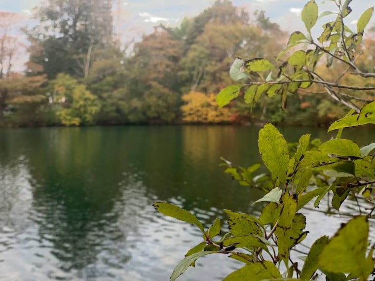 Halifax_Chocolate_Lake_6