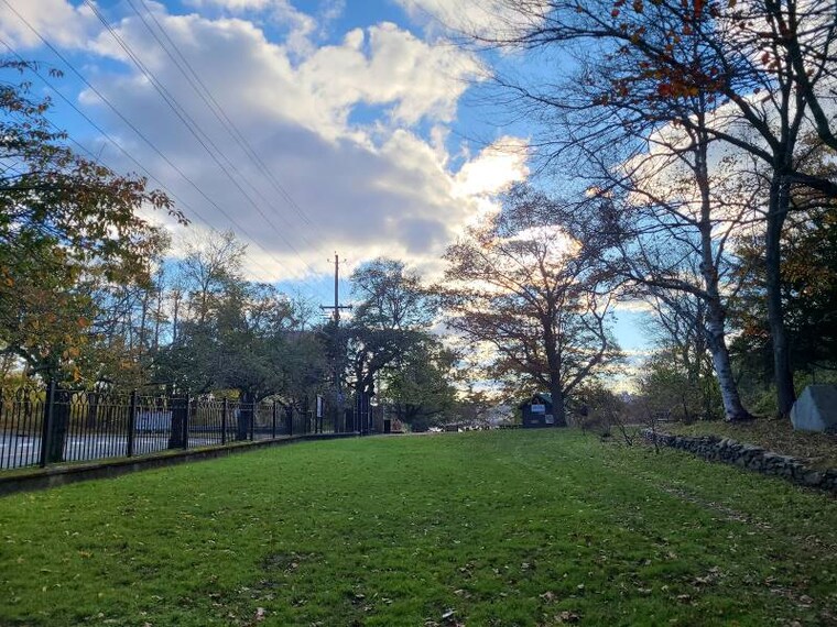 Halifax_Dartmouth_Commons_3