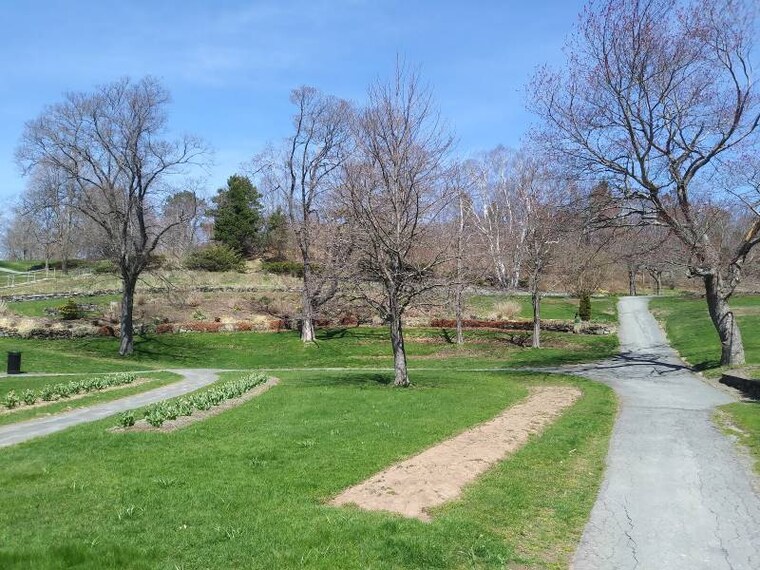 Halifax_Leighton_Dillman_Park_8