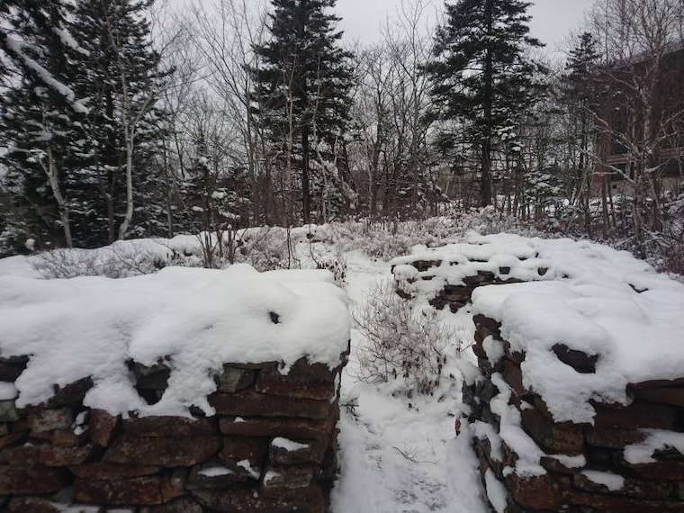 Halifax_Mystery_Walls_2