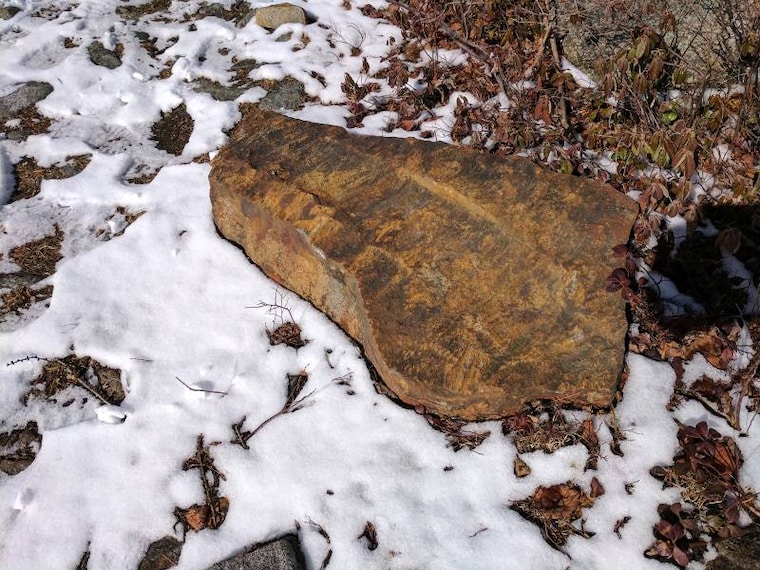 Halifax_Mystery_Walls_7