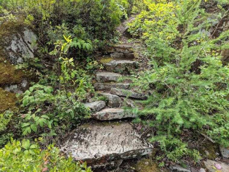 Halifax_Mystery_Walls_8