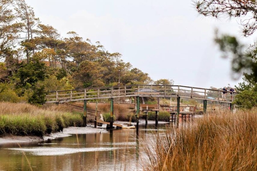 Halifax_Oak_Island_6