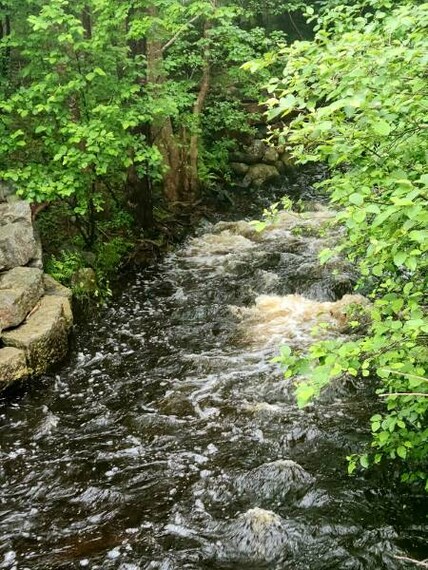 Halifax_Rum_Runners_Trail_2