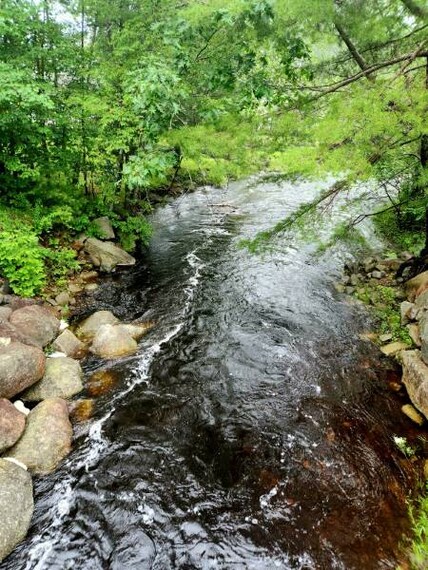 Halifax_Rum_Runners_Trail_6