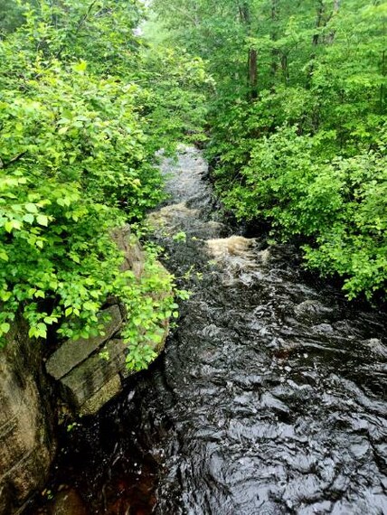 Halifax_Rum_Runners_Trail_7