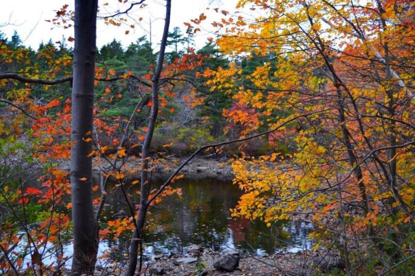 Halifax_Shaw_Wilderness_Park_10