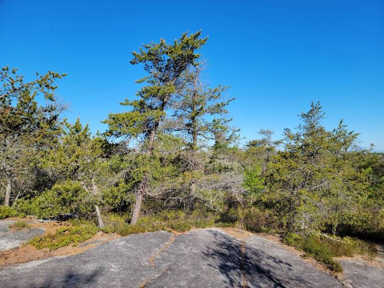 Halifax_Shaw_Wilderness_Park_3