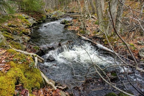 Shaw Wilderness Park