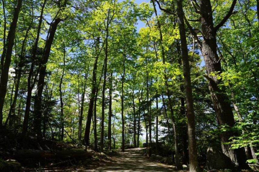 Halifax_Shaw_Wilderness_Park_7