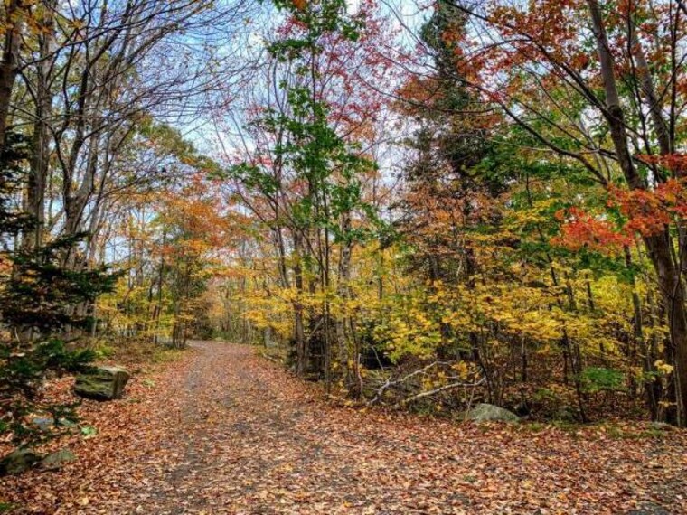 Halifax_Shubie_Park_4