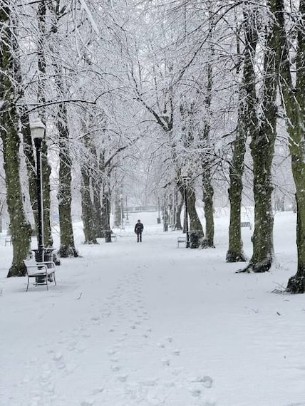 Halifax_Victoria_Park_6