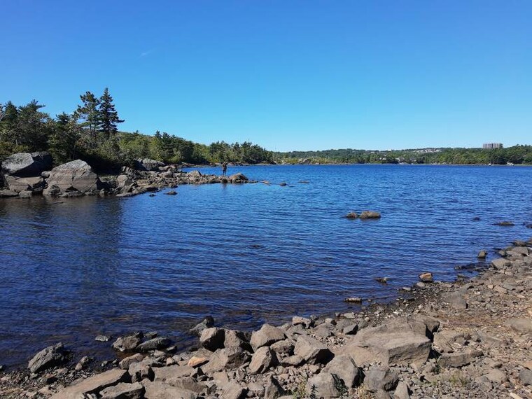 Halifax_Williams_Lake_1