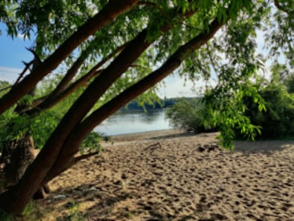 Elbstrand Finkenrieker