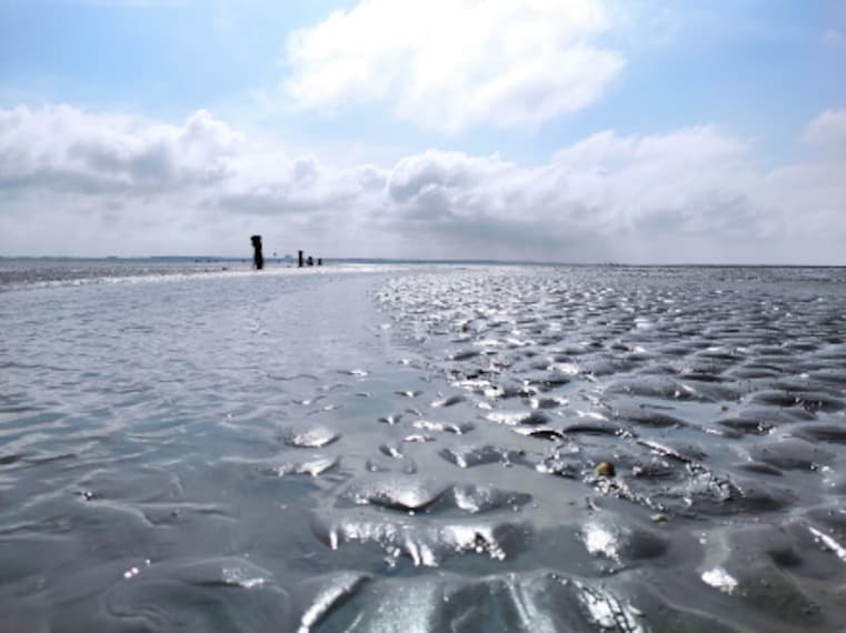 Hamburg_Wattenmeer_UNESCO_Site_4