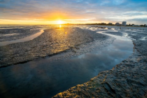 Wattenmeer UNESCO Site