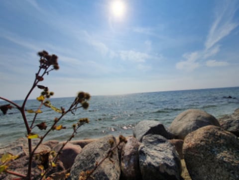 Fehmarn Island