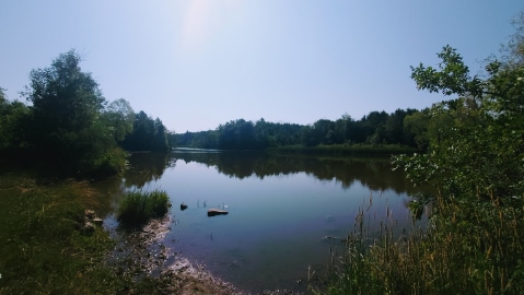 Hamilton_Christie_Lake_Conservation_Area_1
