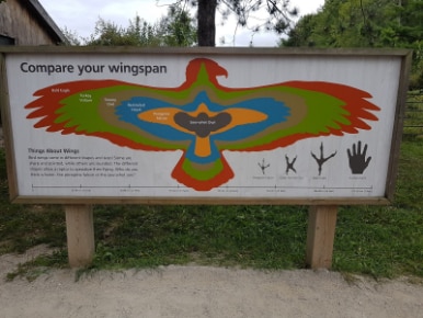 Hamilton_Mountsberg_Conservation_Area_1