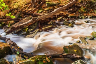 Hamilton_Smokey_Hollow_Waterfall_2