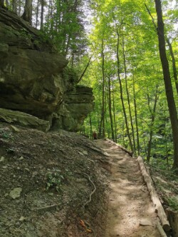 Hamilton_Smokey_Hollow_Waterfall_5