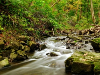 Hamilton_Tiffany_Falls_Conservation_Area_3