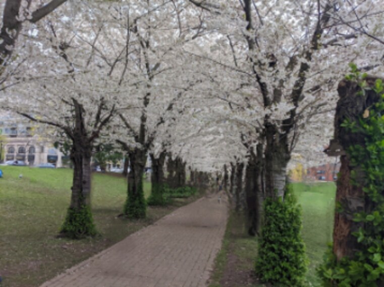 Hamilton_Bayfront_Park_6