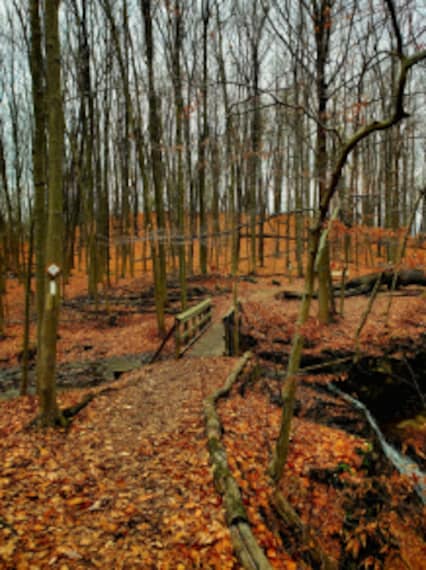 Hamilton_Canterbury_Falls_10