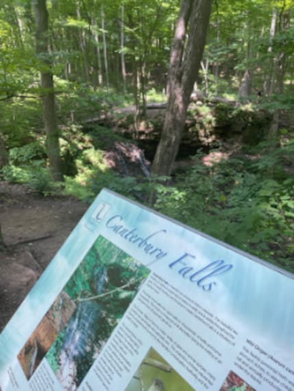 Hamilton_Canterbury_Falls_4