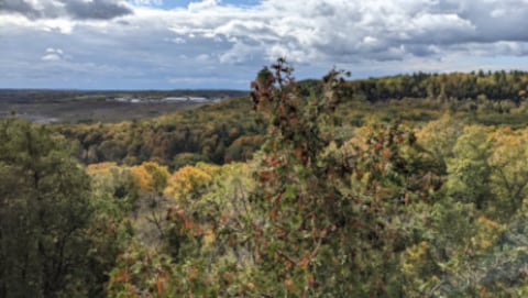 Crawford Lake Conservation Area